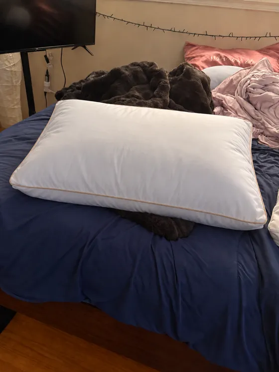 Bedding photo for test card 17
