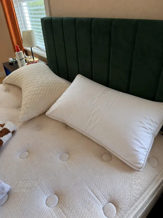 Bedding photo for test card 19